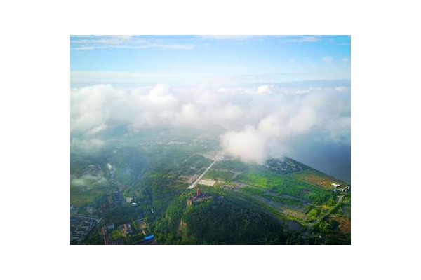 海安网站自然优化排名的关键策略与有效方法