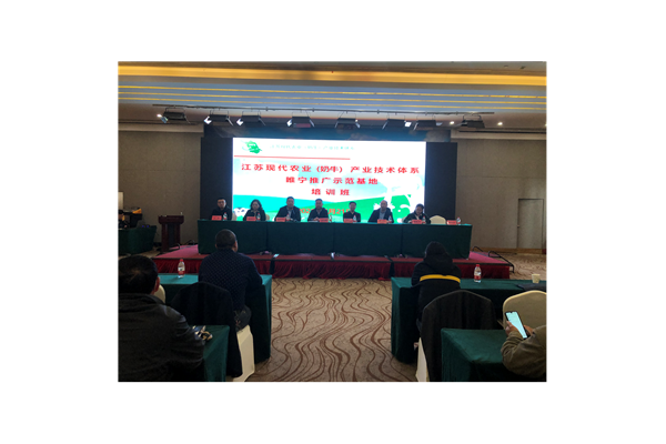 睢宁SEO优化网络推广费用几何?一文为你揭秘