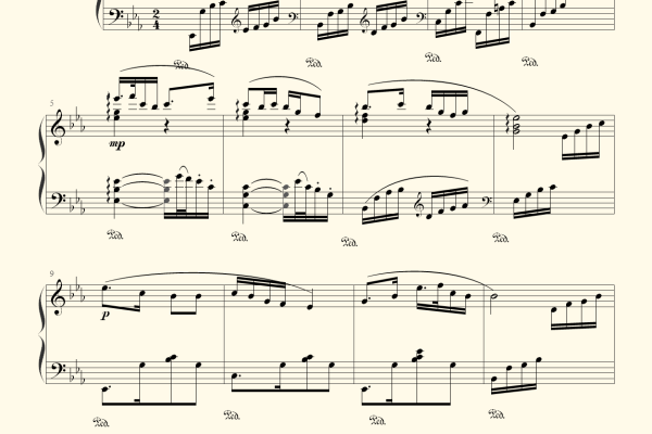 增城关键词SEO优化策略大揭秘，助您网站排名飞升