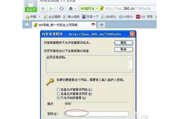 Seo浏览器查看方法大揭秘,轻松掌握查看技巧!