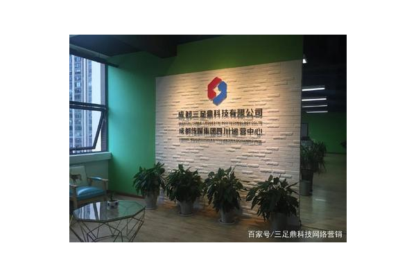 成都SEO优化推广策略大揭秘，助力企业抢占搜索高地