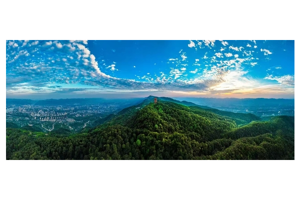 北碚seo自然搜索优化排名的关键策略与有效方法