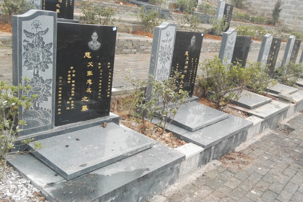 福山网站优化该选哪家公司?这些要点助你做出明智之选