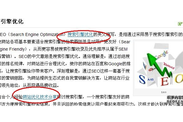 英文网站优化秘籍：陶水水SEO策略大揭秘