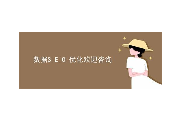 海南SEO优化报价大揭秘：影响因素与市场行情全解析