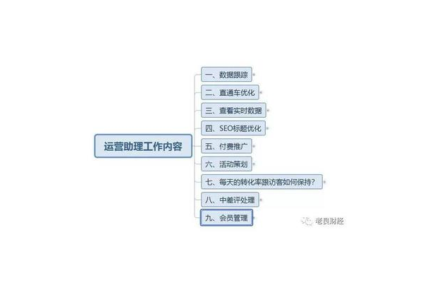 专业 SEO 优化入门:从基础到实操的关键要点解析